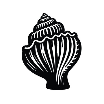 recommend clip art: Silhouette of a Seashell