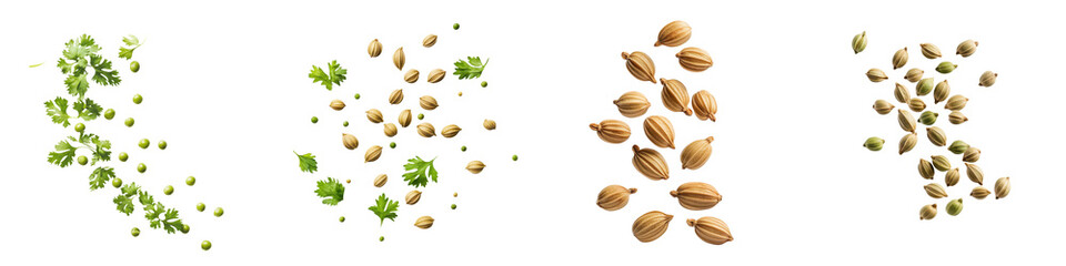 Obraz premium Collection of grains and seeds arranged visually in rows, showcasing variety and texture, perfect for agricultural and culinary concepts.
