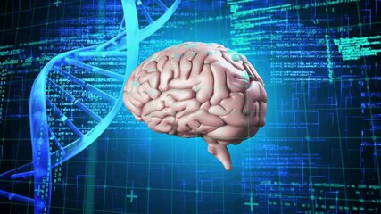 Animation of digital brain and dna strand over data processing on black background - Powered by Adobe