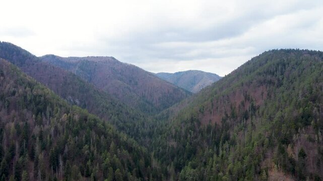 Breathtaking 4K drone footage of Tomasovsky View in Slovak Paradise National Park. Enjoy stunning aerial views of this iconic cliff and the surrounding natural beauty of Slovakia