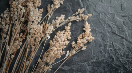 Fototapeta premium Close up view of dry spikelets pattern on dark gray background Floral card design