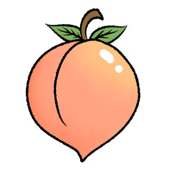 Peach Fruit illustration on transparent background