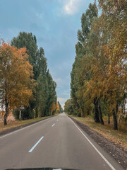 Fototapeta premium road in autum