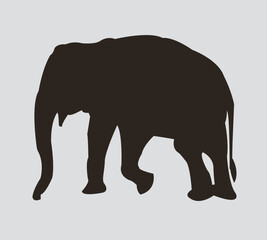  animal icons of black color