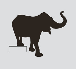  animal icons of black color