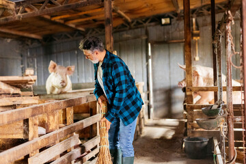 Farmer Cleaning Pig Pen Inside Barn with Broom