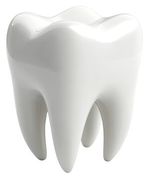 PNG One teeth tooth white illustration.