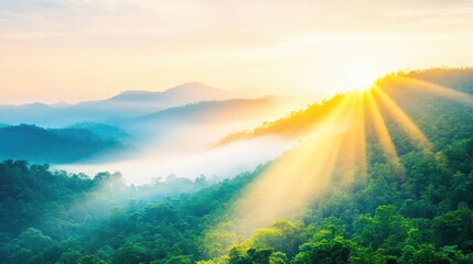 Clear summer sky with a hint of morning mist, sunlight filtering through to illuminate a lush forest, a serene and refreshing scene