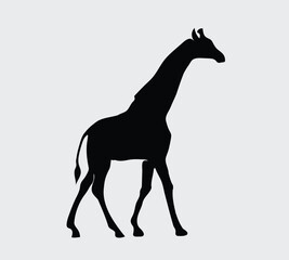  animal icons of black color