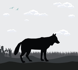 sky shadow of forest scene animal background