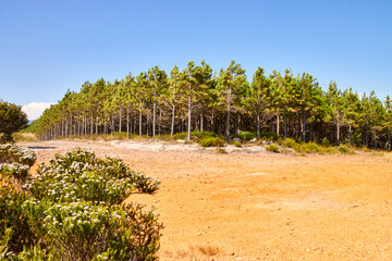 Eine Reise durch Südafrika. Unterwegs im Tsitsikamma Nationalpark.