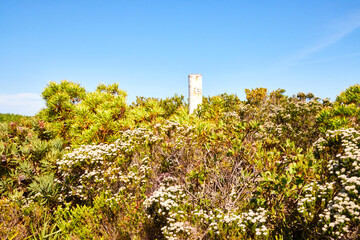 Eine Reise durch Südafrika. Unterwegs im Tsitsikamma Nationalpark.