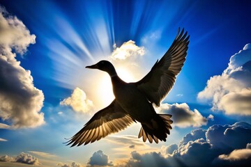 "Flying duck silhouette with outstretched wings and V-shape formed by the wind resistance, set against a bright blue sky with thin white clouds."