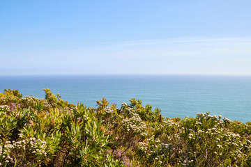Eine Reise durch Südafrika. Unterwegs im Tsitsikamma Nationalpark.