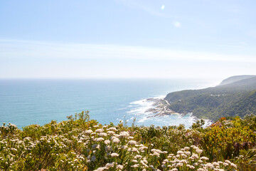 Eine Reise durch Südafrika. Unterwegs im Tsitsikamma Nationalpark.