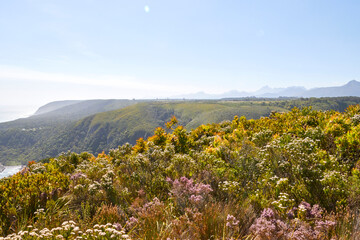 Eine Reise durch Südafrika. Unterwegs im Tsitsikamma Nationalpark.