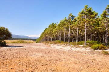 Eine Reise durch Südafrika. Unterwegs im Tsitsikamma Nationalpark.