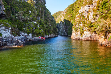 Eine Reise durch Südafrika. Unterwegs im Tsitsikamma Nationalpark.