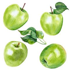 Watercolor kit four big green apples