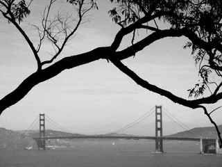 Panorama on the Golden Gate Bridge from the Land's end trail in San Francisco, California.