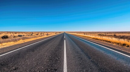 Fototapeta premium Country Road and Clear Blue Sky