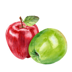 Pair of laying green and red apples