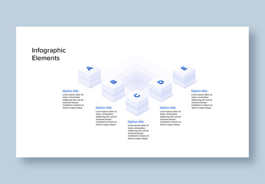 5 Step Workflow Infographic