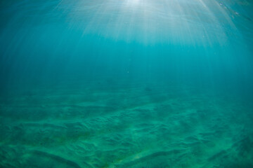 Obraz premium Beautiful sunbeam on the shallow beach underwater.