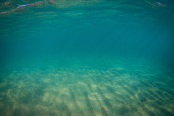 Underwater view of clear sand bottom.
