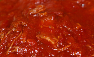 red tomato sauce. tomato sauce with chicken meat. meal details. sauce with meat.