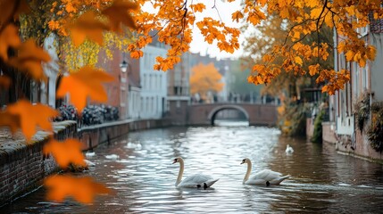 Fototapeta premium Tranquil Bruges canals framed by vibrant autumn foliage, swans gliding on the water, and medieval architecture in the background, creating a picturesque autumn scene.