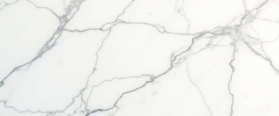 White marble texture with gray veins