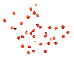 Red pepper seeds, a pile of aromatic peppercorn spice, dried cooking spicy ingredients, graphic...
