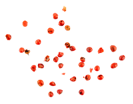 Red pepper seeds, a pile of aromatic peppercorn spice, dried cooking spicy ingredients, graphic element isolated on a transparent background