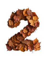 Fototapeta premium autumn leaves number two isolated on transparent background