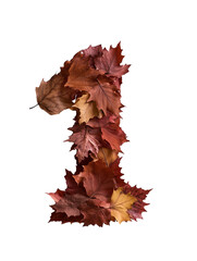 Fototapeta premium autumn leaves number one isolated on transparent background