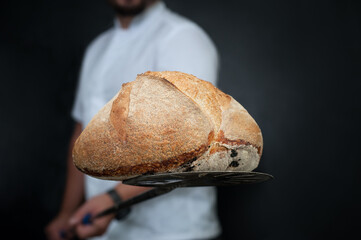 close up of homemade Italian bread on the bakery's blade, baked in Neapolitan oven