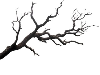 Isolated Bare Tree Branch with Dark Silhouette on White Background - Minimalistic Nature Element Perfect for Artistic, Abstract, and Natural Themes
