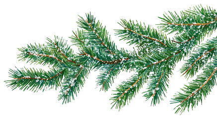 PNG Green tree branches with snowflakes christmas pine decoration.