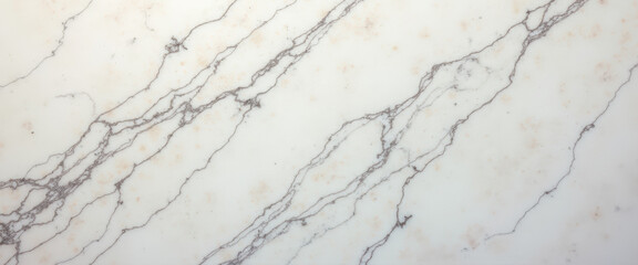 Fototapeta premium White Marble Texture with Grey Veins