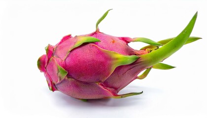 One dragon fruit isolated on white background. ai generated
