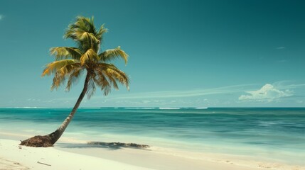 Obraz premium A Sunny Beach Scene with a Leaning Palm Tree and Clear Blue Water