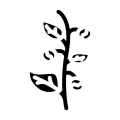 ashwagandha ayurvedic herb glyph icon vector. ashwagandha ayurvedic herb sign. isolated symbol illustration