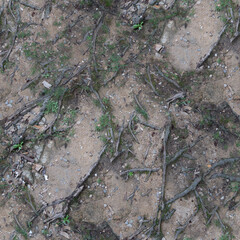 tierra y raices 
