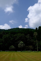 course in the morning