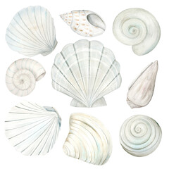 Sea Shells. A set of beige seashells. Watercolor pattern. Hand-painted ocean clams for nautical and seaside designs in monochromatic pastel colors.