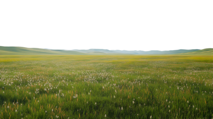 Lush green grasslands stretch across an open valley at sunrise isolated on transparent background