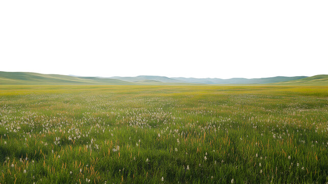 Lush green grasslands stretch across an open valley at sunrise isolated on transparent background