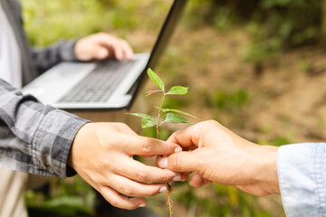 Close-up of hands caring for the environment with a plant ready for planting, background includes a...