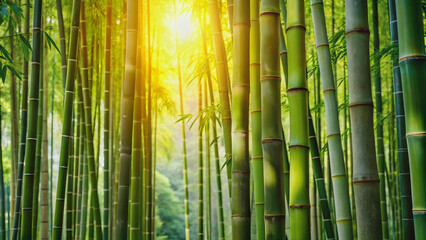 Fototapeta premium Sunlit bamboo grove with delicate green leaves and sturdy stalks, bamboo, grove, sunlit, green, leaves, sturdy, stalks